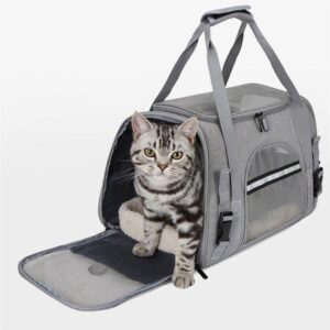 transporin para gato (9)