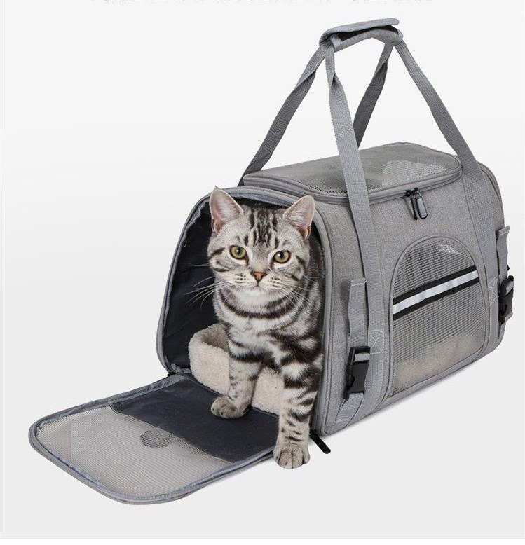transporin para gato (9)